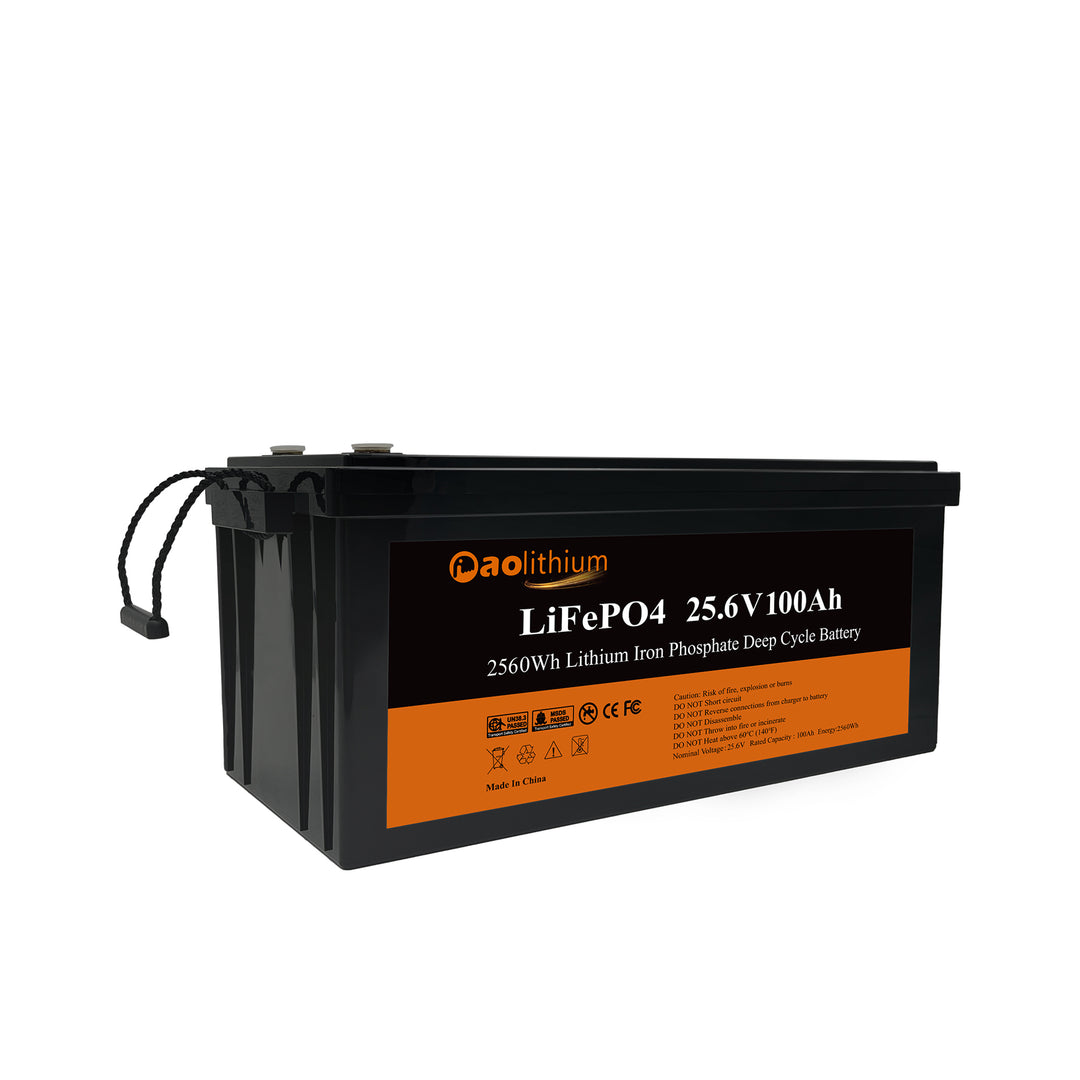 12V/24V Lithium Iron Phosphate Battery